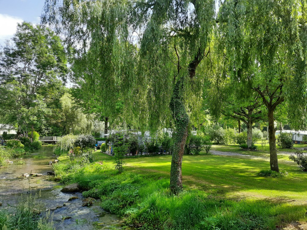 site