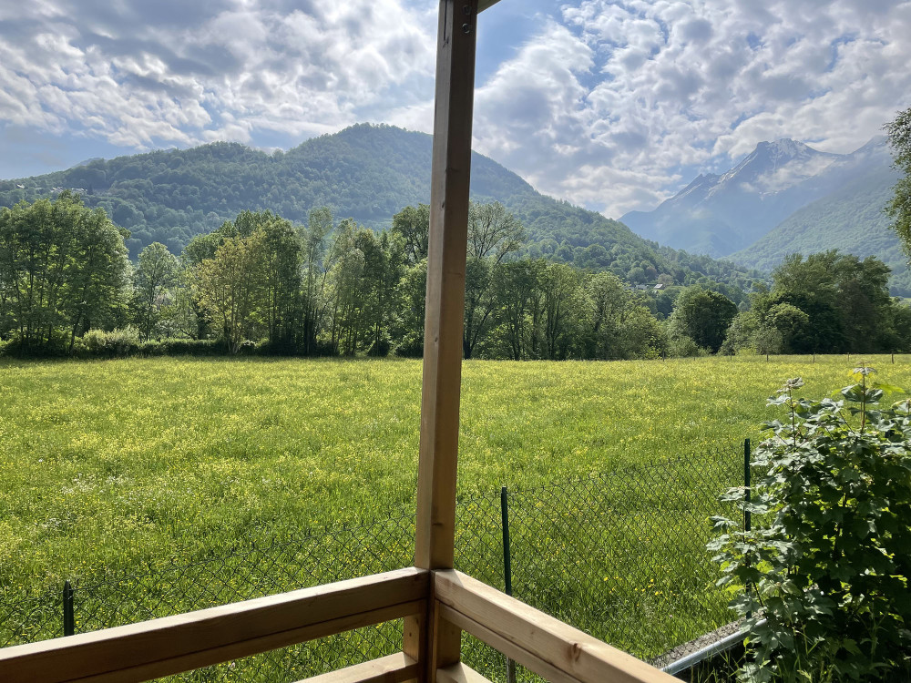 site