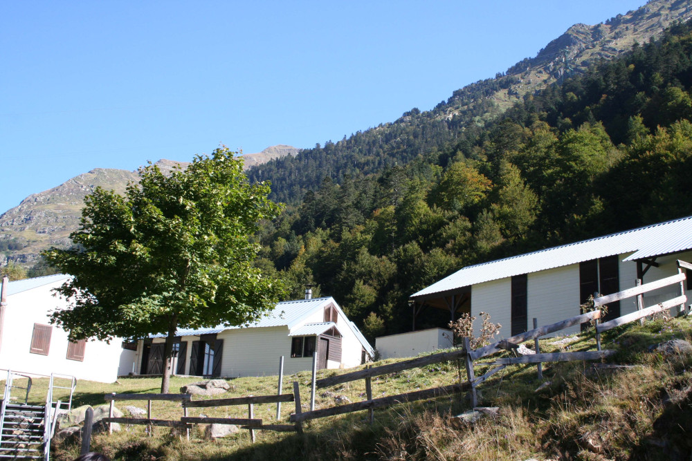 site